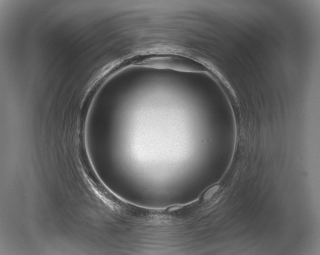 X0000080100437200612151625