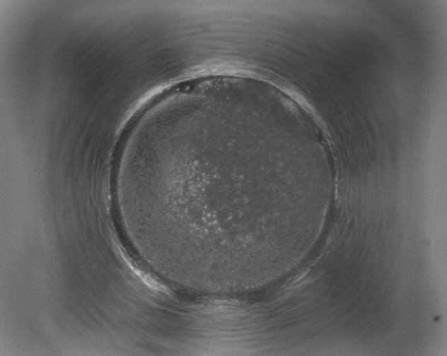 X0000080100438200612151625