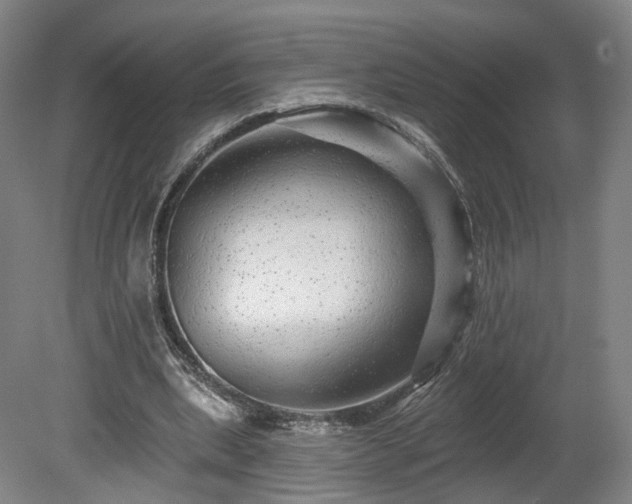 X0000080100439200612151625