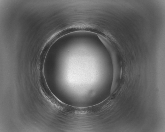 X0000080100440200612151625