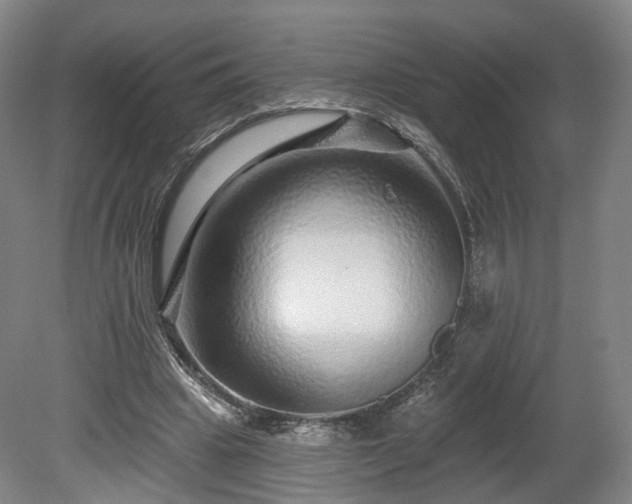 X0000080100441200612151625