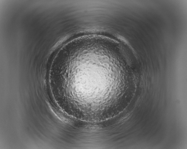 X0000080100443200612151625