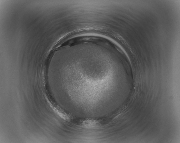 X0000080100444200612151625