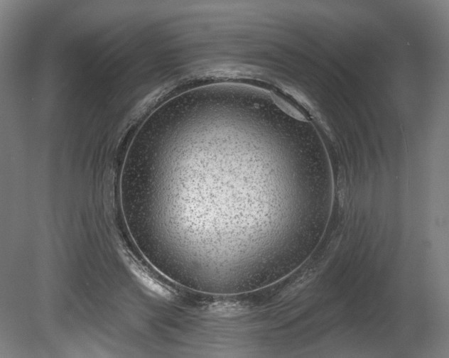 X0000080100445200612151625