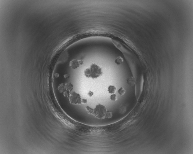 X0000080100446200612151625