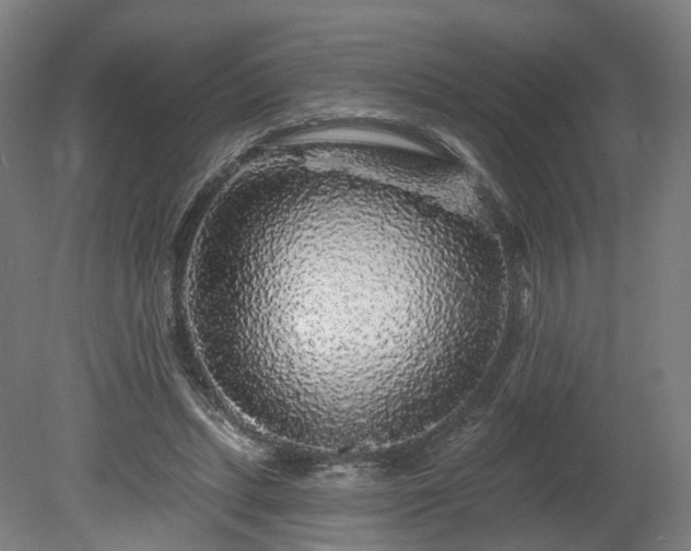 X0000080100447200612151625