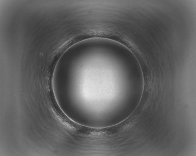 X0000080100450200612151625