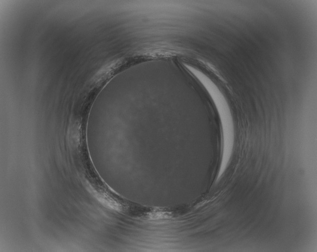 X0000080100451200612151625