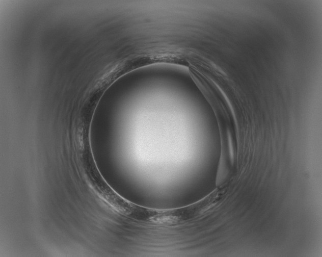 X0000080100452200612151625