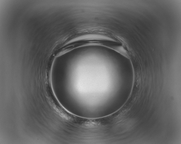 X0000080100453200612151625