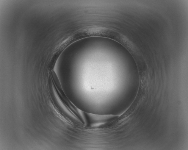 X0000080100454200612151625