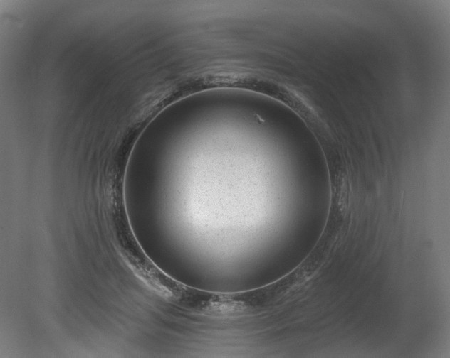 X0000080100455200612151625