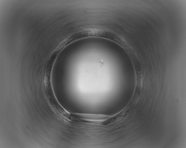 X0000080100456200612151625