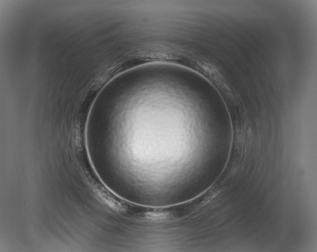 X0000080100457200612151625