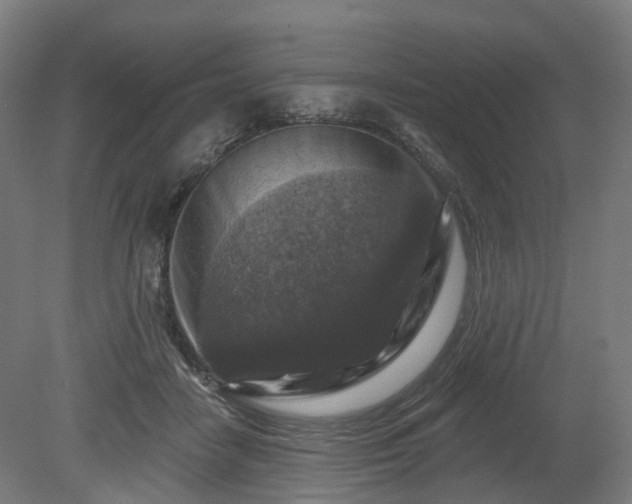 X0000080100458200612151625