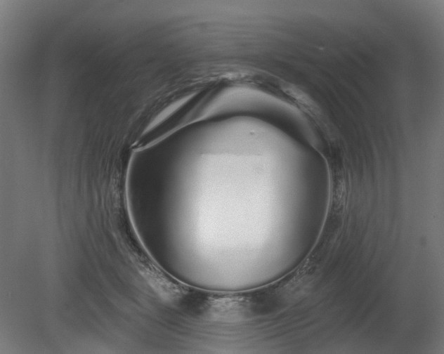 X0000080100461200612151625