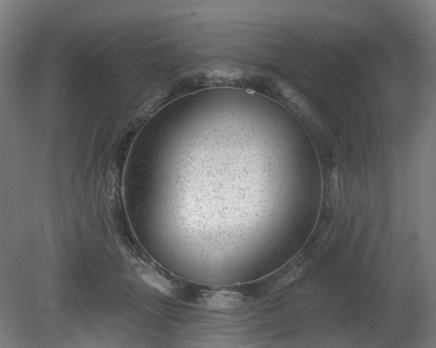 X0000080100463200612151625