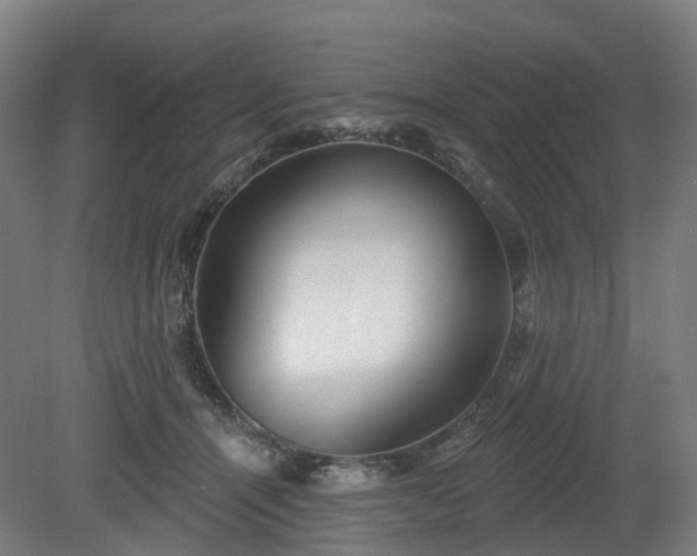 X0000080100464200612151625