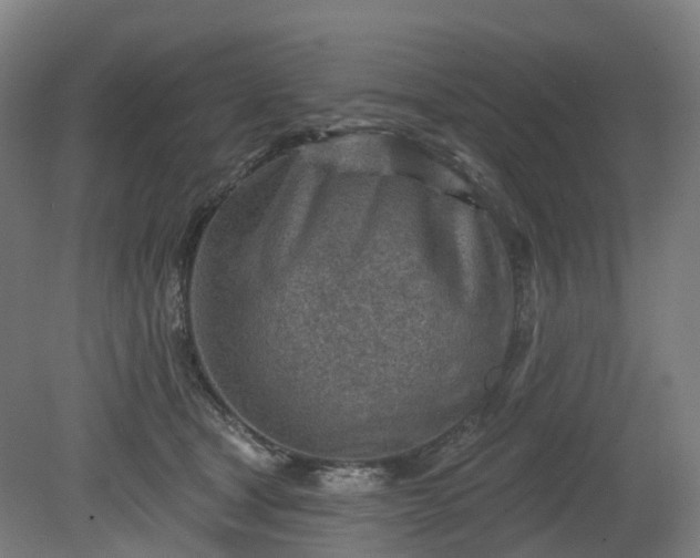 X0000080100465200612151625