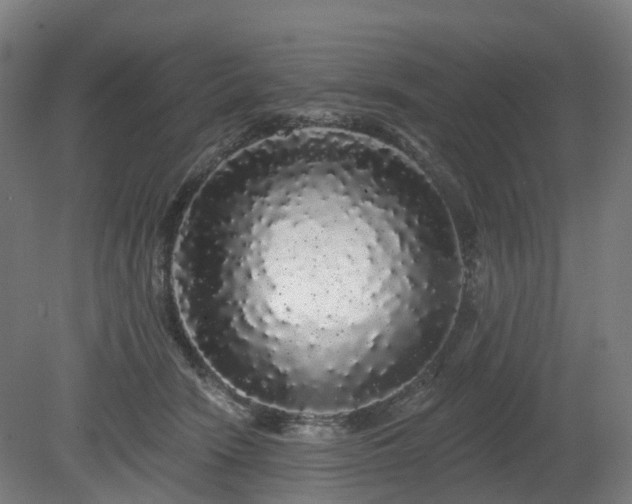 X0000080100466200612151625