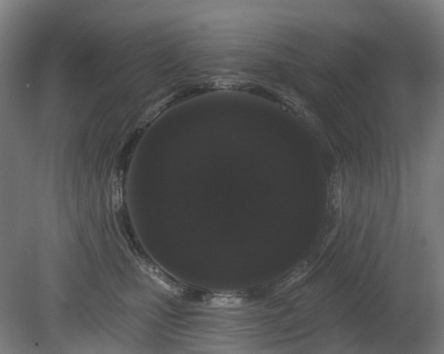 X0000080100471200612151625