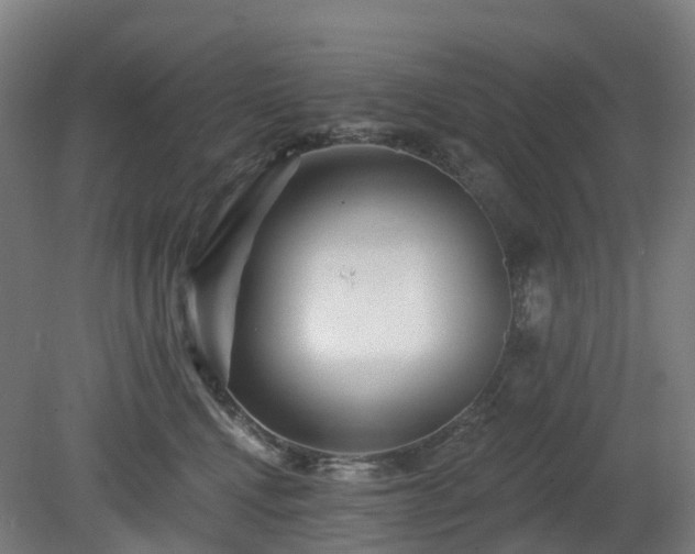 X0000080100472200612151625