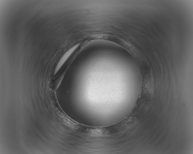 X0000080100473200612151625