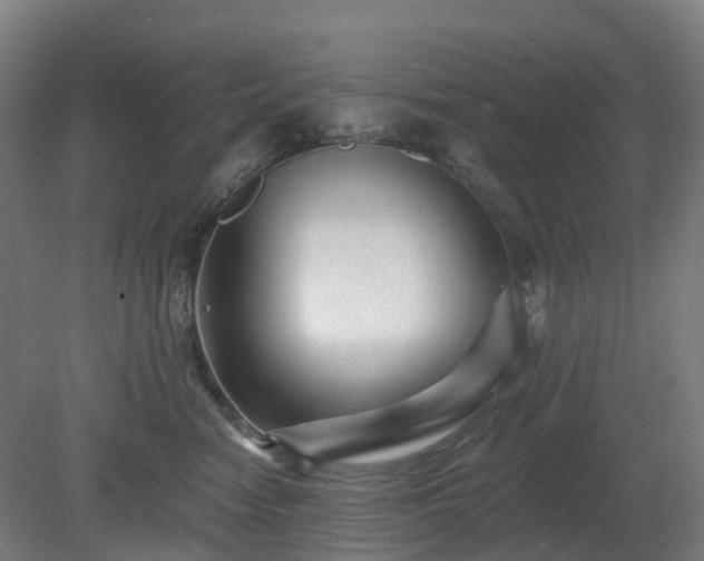 X0000080100474200612151625