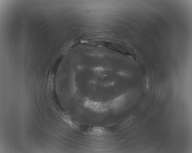 X0000080100475200612151625