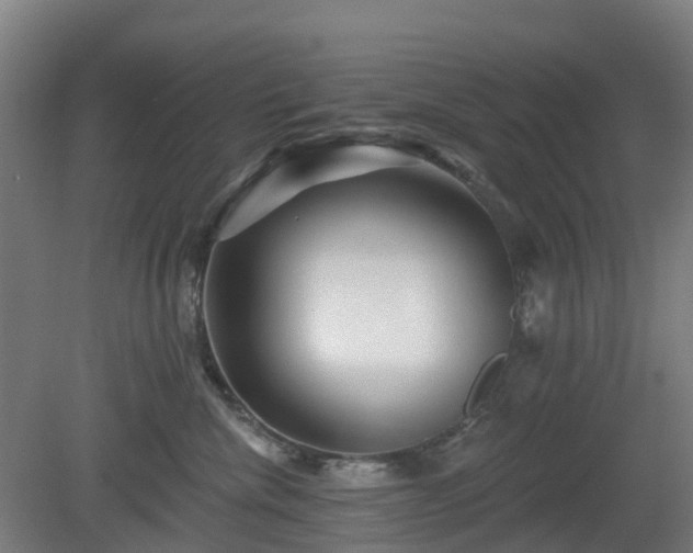 X0000080100476200612151625