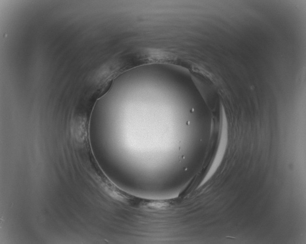 X0000080100478200612151626