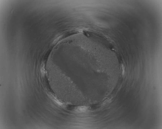 X0000080100479200612151626