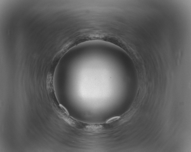 X0000080100480200612151626