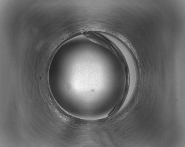 X0000080100481200612151625