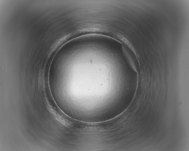 X0000080100482200612151625