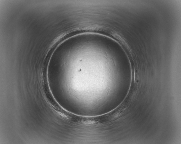 X0000080100483200612151625