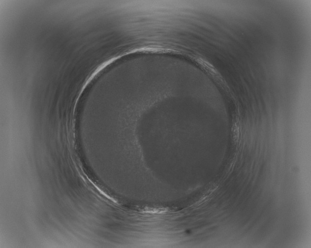 X0000080100484200612151625