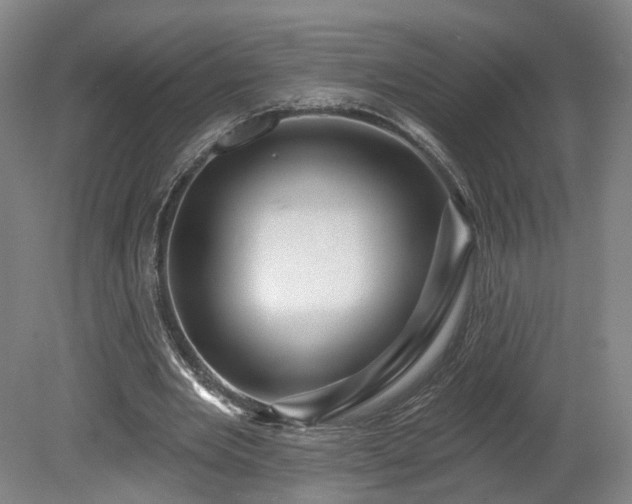 X0000080100485200612151625