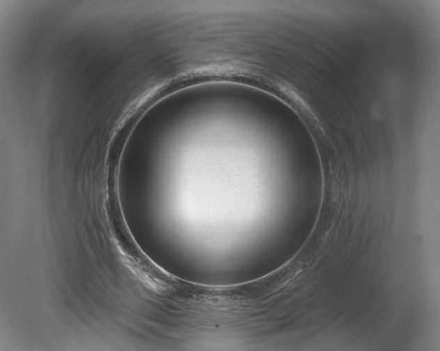 X0000080100486200612151625