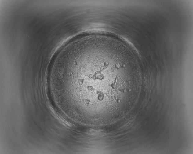 X0000080100487200612151625