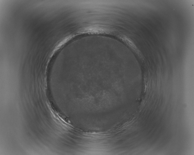 X0000080100488200612151625