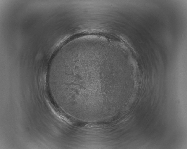 X0000080100491200612151625