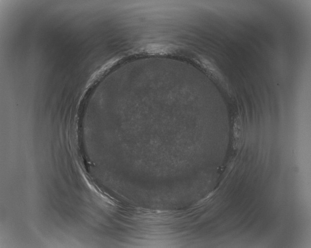 X0000080100492200612151625