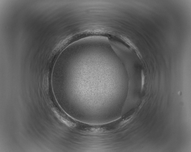 X0000080100493200612151625