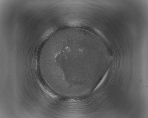 X0000080100494200612151625