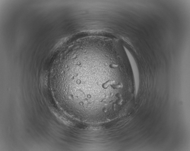 X0000080100495200612151625