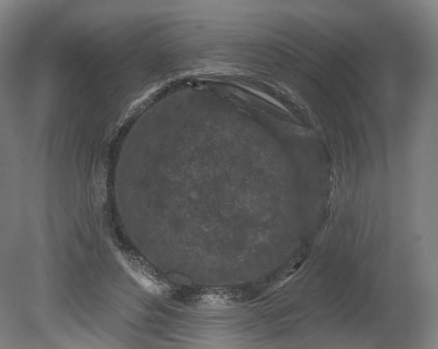 X0000080100496200612151624