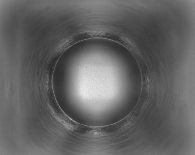 X0000080100498200612151624