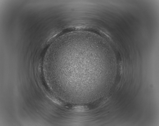 X0000080100499200612151624