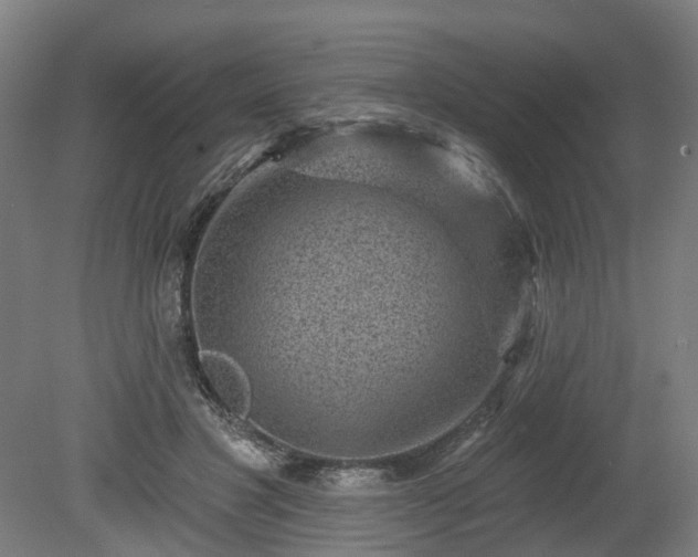 X0000080100501200612151624